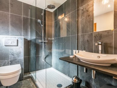 Шале Croc Blanc Морзин