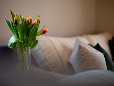 Шале La Grange Морзин