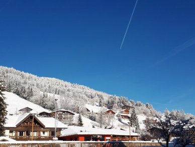 Appartement du Centre Les Gets