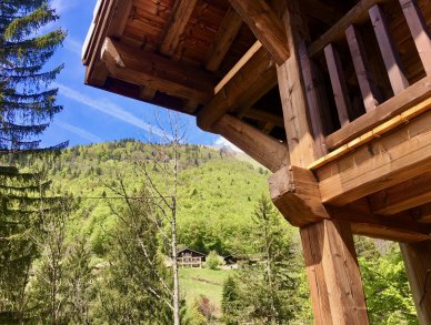 Шале Forest Lodge Морзин Монтрионд