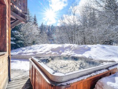 Шале Morgane Куршевель Ла-Танья