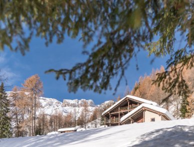 Шале Cesa del louf Арабба