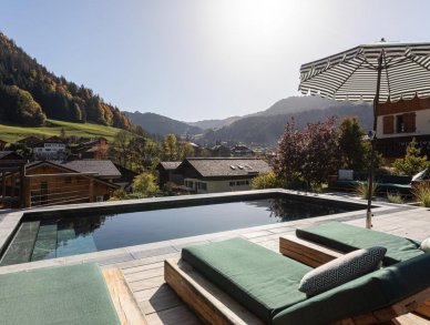 Шале Doyen Морзин