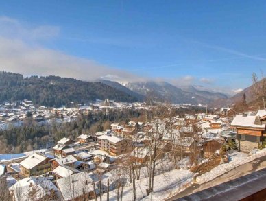 Пентхаус Tamarack Морзин