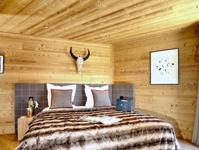 Chalet Jiri Courchevel 1550