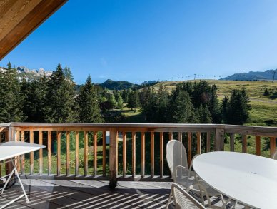 Апартаменты Roc Merlet 503 Куршевель 1650