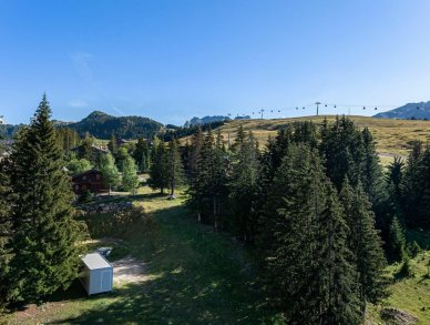 Апартаменты Roc Merlet 503 Куршевель 1650