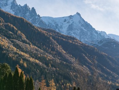 Шале Bonami Шамони