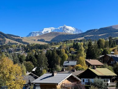 Апартаменты Stallion D22 Межев