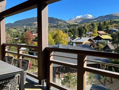 Апартаменты Stallion D22 Межев