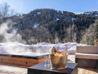 Шале Berlioz Мерибель