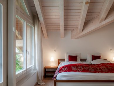 Пентхаус Parrot Церматт