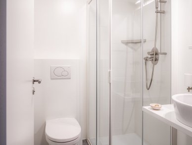 Пентхаус Parrot Церматт