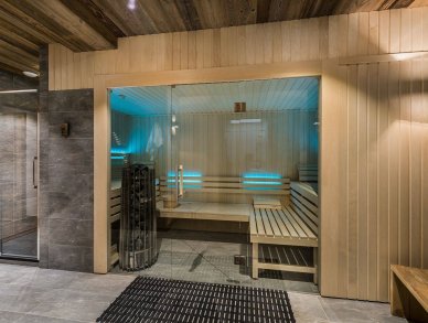 Апартаменты Les Belles Alpes 1 Мерибель