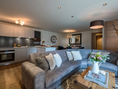 Appartement Artois Les Gets