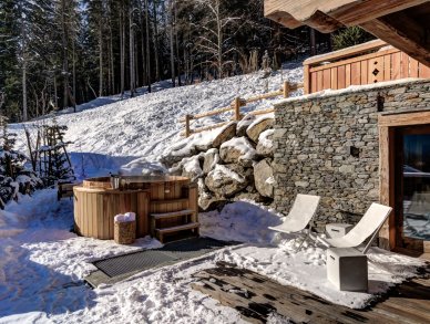 Шале Azurite Шамони