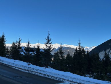 Шале Ursus Куршевель 1650