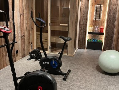 Шале Ursus Куршевель 1650